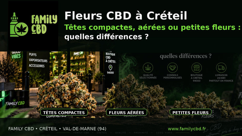 Fleurs CBD à Créteil : têtes compactes, aérées ou petites fleurs, quelles différences ?