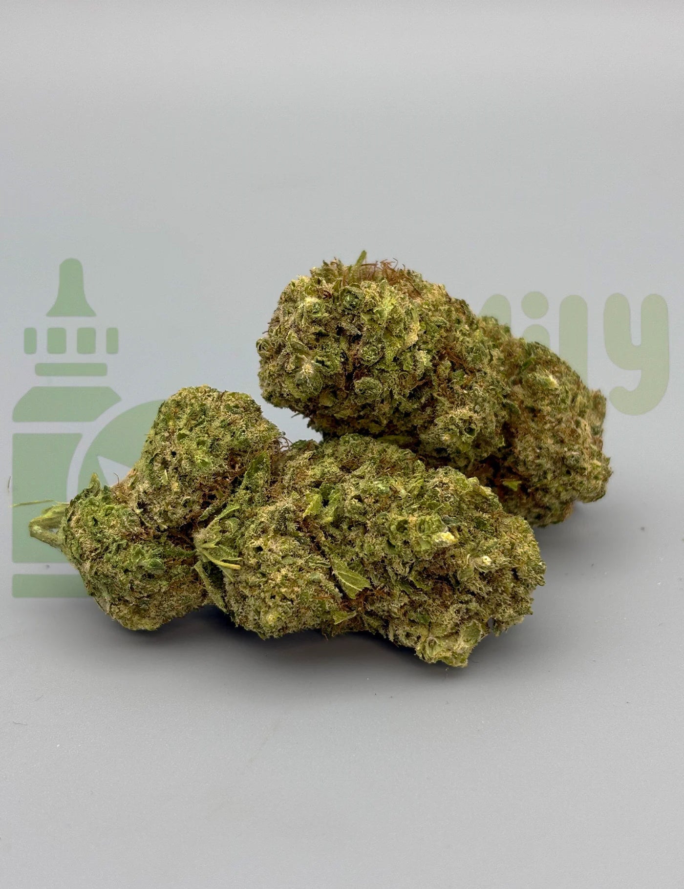 JACK HERRER REVUELTO PLUS