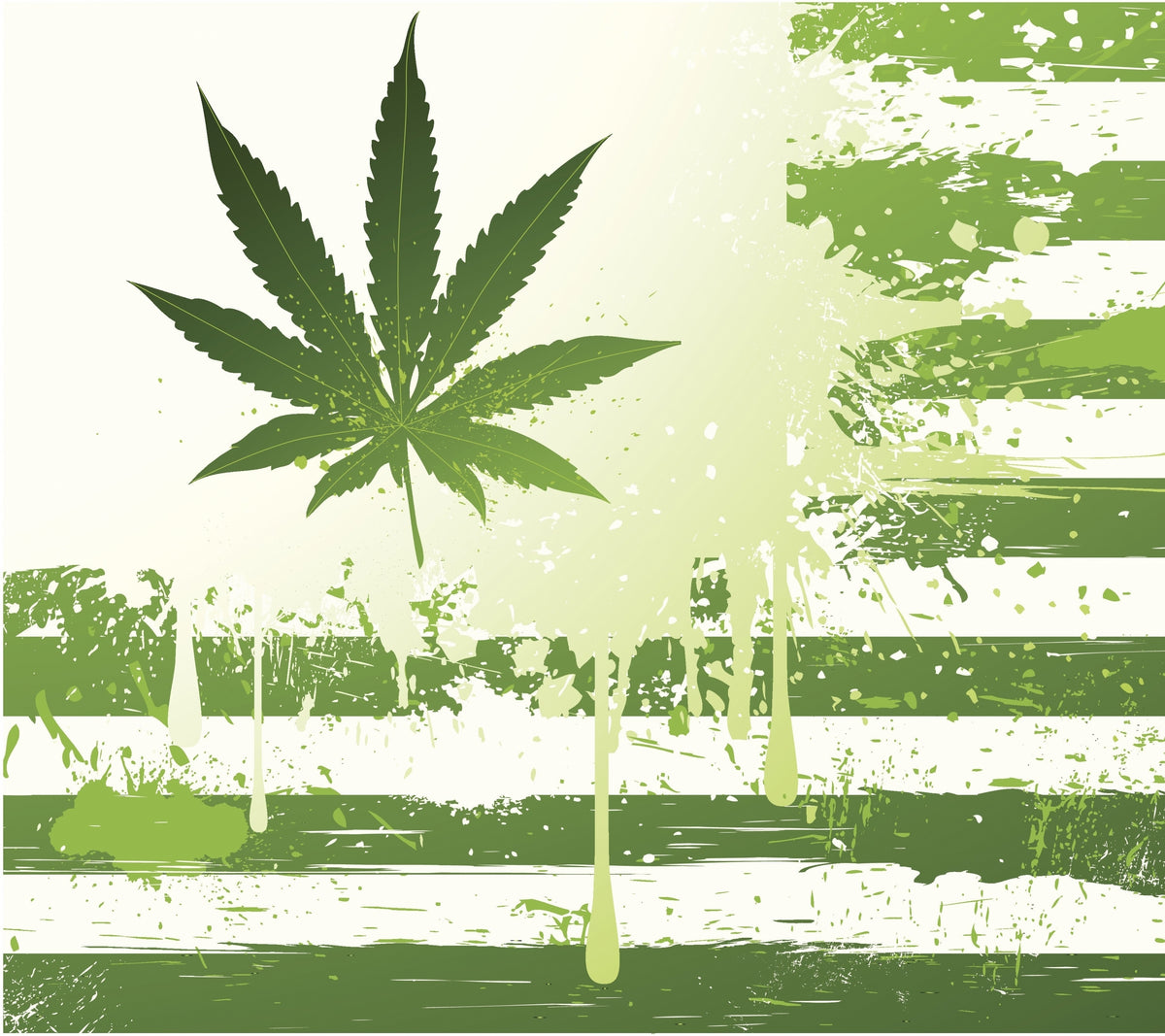 CBD en France : la vente de fleurs autorisée par le Conseil d’État