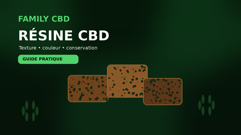 Résine CBD : texture, couleur et conservation — les points à vérifier avant d’acheter