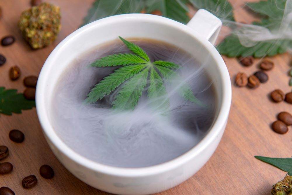 Infusion CBD : préparation, réglementation et précautions en 2026