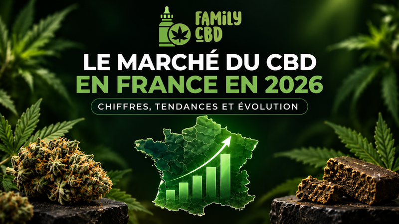 Le marché du CBD en France en 2026 : chiffres, tendances et évolution