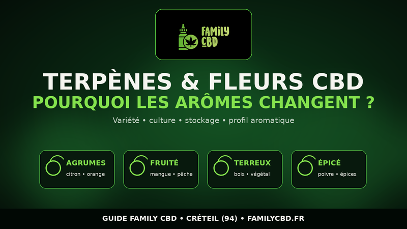 Terpènes et fleurs CBD : pourquoi les arômes changent d’une variété à l’autre ?