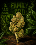 AK-47