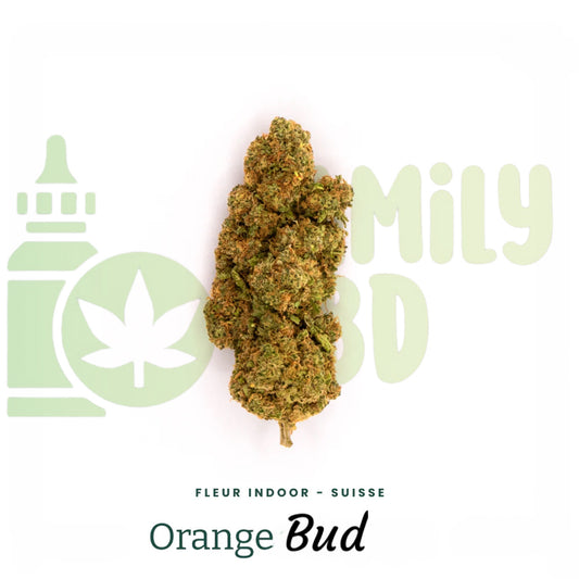 ORANGE BUD