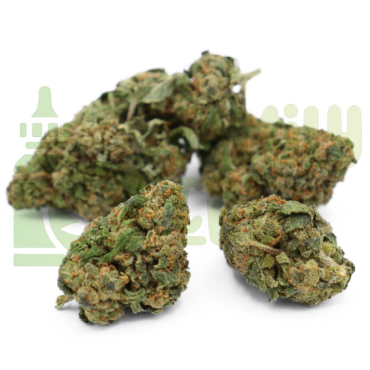 AMNESIA XTREM PLUS