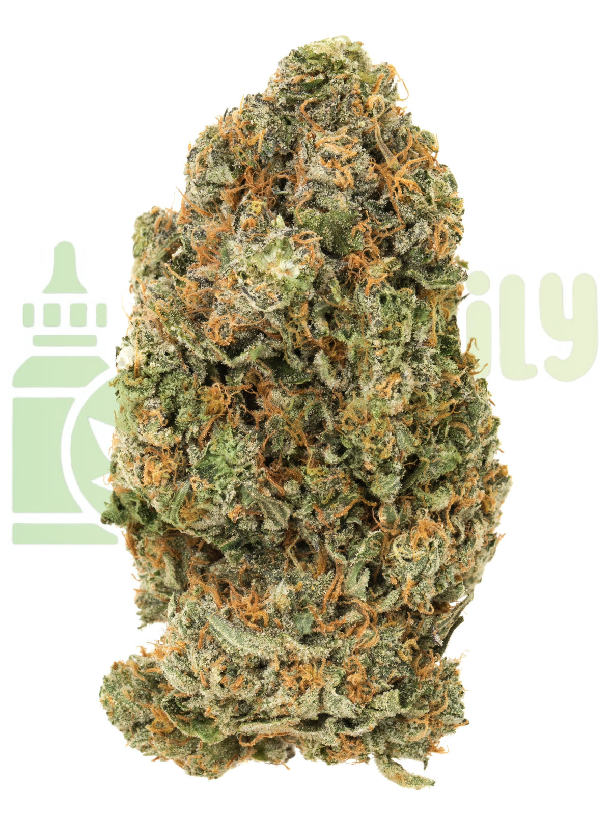 TROPICAL HAZE REVUELTO