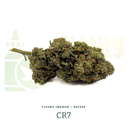 CRITICAL CR7 premium | CBD 11%