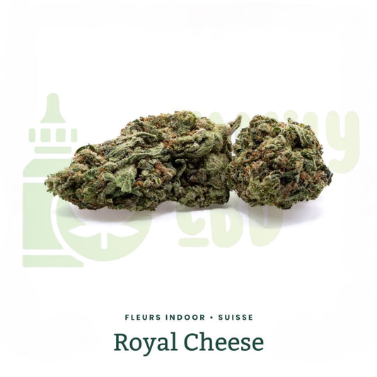 ROYAL CHEESE