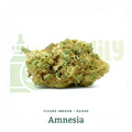 AMNESIA CBD