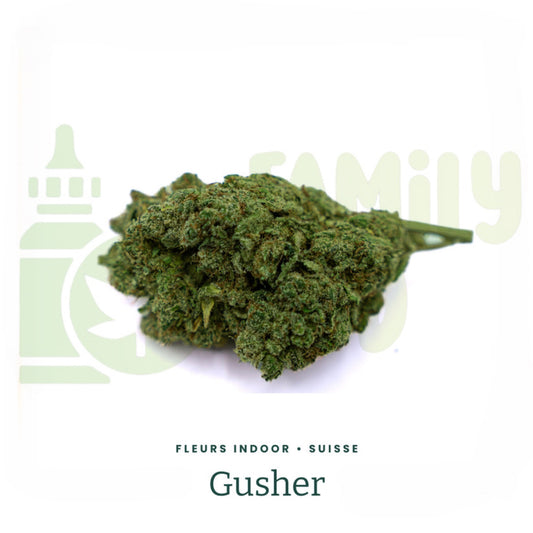 GUSHER premium | CBD 18%