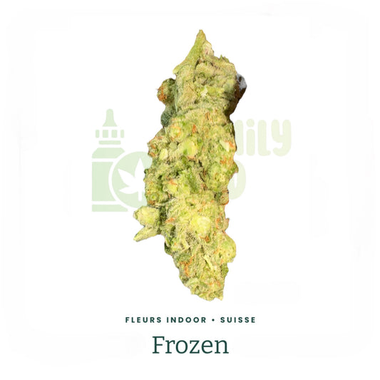 WHITE WIDOW FROZEN (cryogénisée)