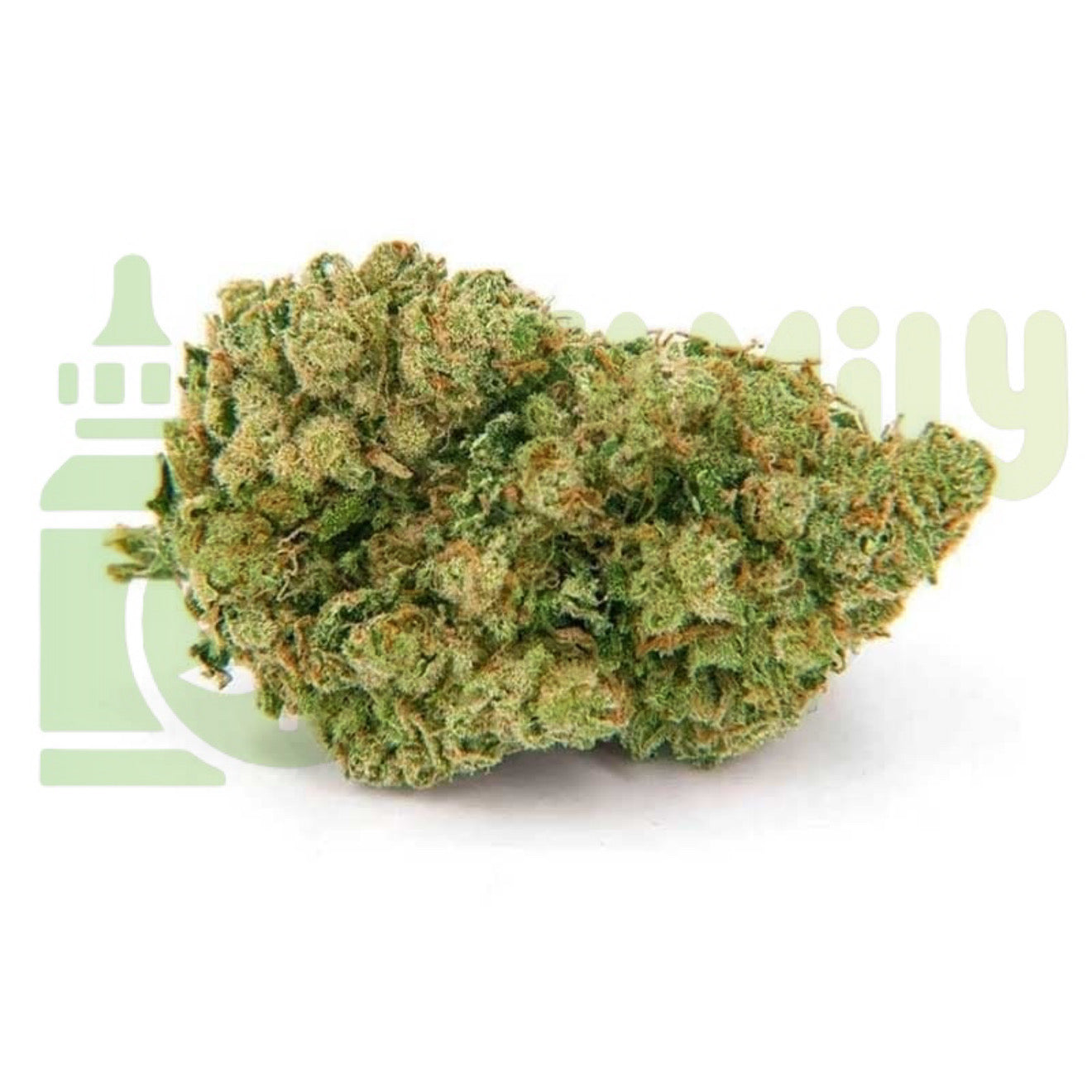 CALI X MANGO REVUELTO