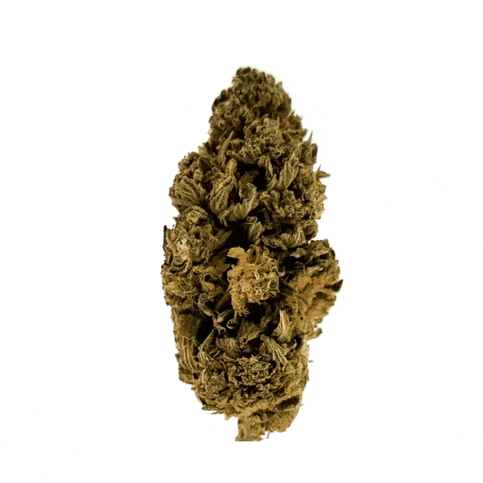 OG Kush